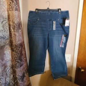 NWT--Lee Sculpting Capri -- 18W